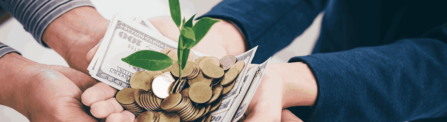 Hände halten Geld und Münzen, daraus wächst eine junge Pflanze – Symbol für partnerschaftliches Vermögenswachstum